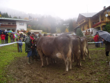 15 altk08-1