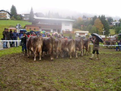15 altk08-i gruppe2