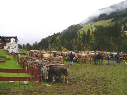 15 blick alle08-102