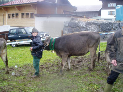 15 elias