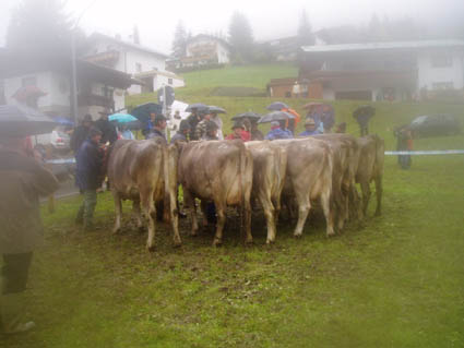 15 erstmelk08