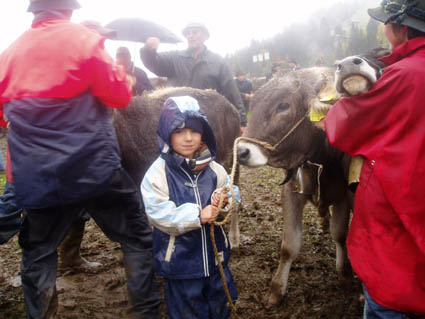 15 lauri m kalb