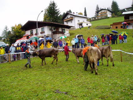 15 rind abgek ring