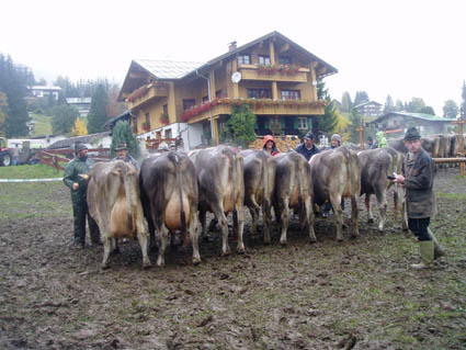 15 sieger alle01