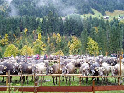 15blick alle08