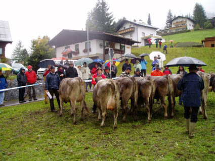 15er58