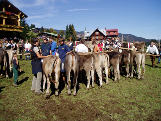 hp07 k alle4